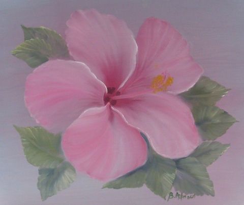 hibiscus rose